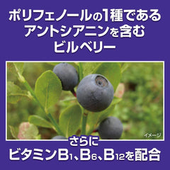 Kobayashi Pharmaceutical's Food with Function Claims Blueberry EX Approximately 30 days supply 60 tablets