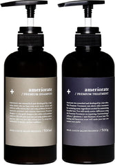 [Japanese Shampoo and Conditioner] Ameliorite Premium Shampoo   Treatment 500ml set Gray hair care Approach to the concerns of the adult generation