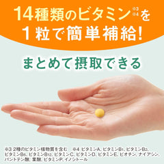 [Japanese Sports Supplements] Dear Natural Style Multivitamin 90 grains (90 days)