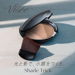 Visee Shade Trick BR300 Medium Brown 8.5g Shading Bronzer Skeletal Shade with Dedicated Brush