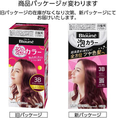 Blaune Foam Color 3B Bordeaux Brown Quasi-drug Hair Dye 108ml (x1)