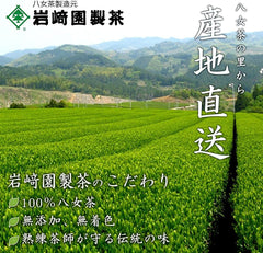 New Tea Yame Tea Leaves Produced in 2023, Aged New Tea, Treasured Yame 3.5 oz (100 g), Bagged, Tea, Iwasakien Seicha, Kyushu, Fukuoka, 100% Yame Tea, 88 Nightly Picking, Ichiban Tea