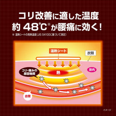 Amazon.co.jp exclusive Bulk purchase Blood flow improvement waist hotton 10 pieces x 2 pieces General medical equipment Kobayashi Pharmaceutical Bonus included