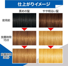 GATSBY EX High Breach (Quasi Drug) Hair Color 2pcs (x1)