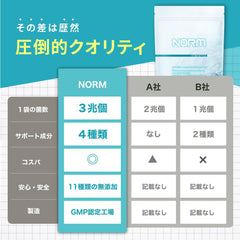 NORM Lactic Acid Bacteria Bifidobacterium Butyric Acid Supplement Synbiotics 3 Trillion Lactic Acid Bacteria in 1 Bag Dietary Fiber Inulin Oligosaccharide Nattokinase Domestic Manufactured 30 Days Supply