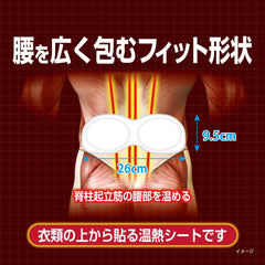 Amazon.co.jp exclusive Bulk purchase Blood flow improvement waist hotton 10 pieces x 2 pieces General medical equipment Kobayashi Pharmaceutical Bonus included