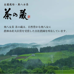 Oku Yame Tea 2023 New Tea Saemidori (First Picking) 1.8 oz (50 g), Home Cultivation, Tea Warehouse