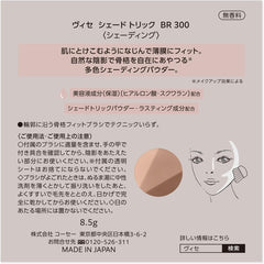 Visee BR300 Trick Shades Medium Brown, 0.3 oz (8.5 g), Shading, Bronzer, Skeleton Shading, Includes Dedicated Brush