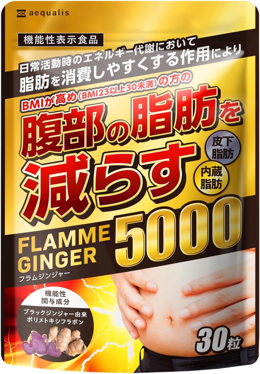 Flam Ginger Food with Functional Claims Fat Reduction Diet Support Supplement 30 Tablets (1)