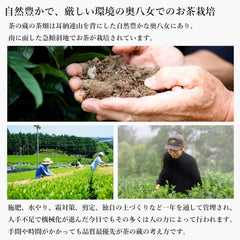 Oku Yame Tea 2023 New Tea Saemidori (First Picking) 1.8 oz (50 g), Home Cultivation, Tea Warehouse