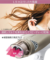 Panasonic EH-NE6B-PN Hair Dryer Ionity Pink Gold Tone