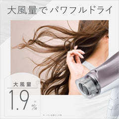 Panasonic Ionity Hair Dryer EH-NE5G-T, Quick Drying, Strong Airflow, Brown Tone