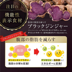 Black Ginger, Lactic Acid Bacteria, Reduce Stomach Fat, Diet, Supplement, Food, Body Fat, Subcutaneous Fat, Visceral Fat, Food with Functional Indication of Function, 90 Tablets